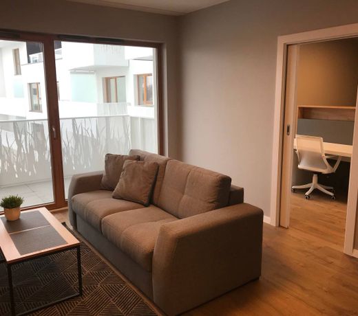 Apartament Coyote w centrum miasta