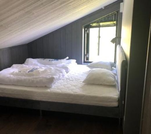 FjÃ¤llhem
