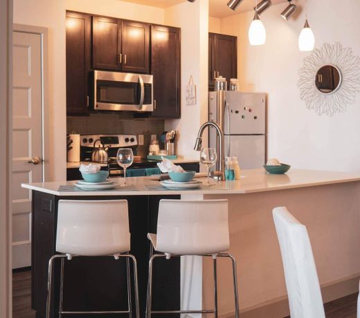 Luxury Downtown Apartment- Perfect Location