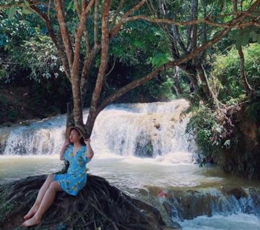 PÃ¹luÃ´ng jungle king homestay