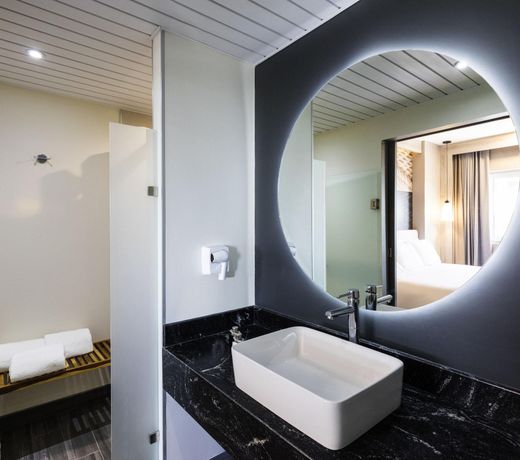 Ibis Torreon