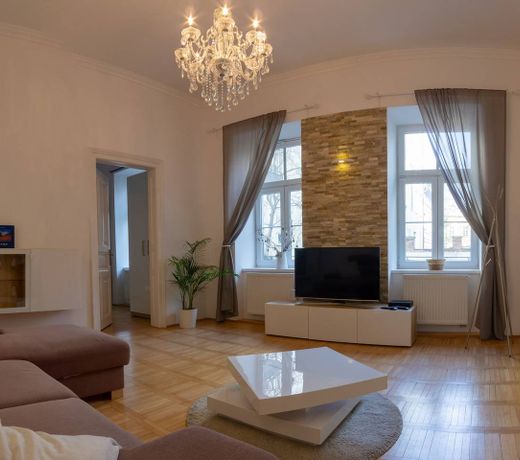 Lion apartman 2, big size, high ceilings, garden