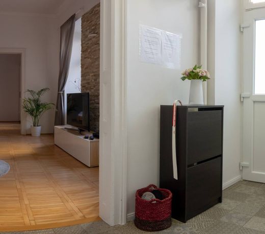 Lion apartman 2, big size, high ceilings, garden