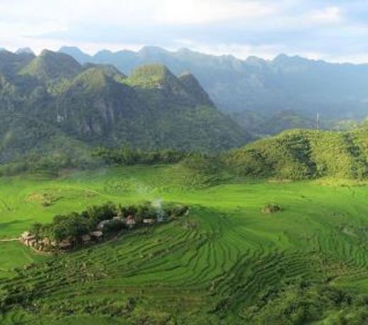 Pu Luong Treehouse