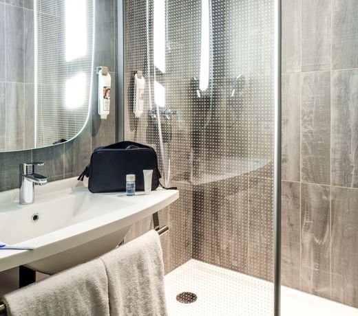 ibis Gonesse