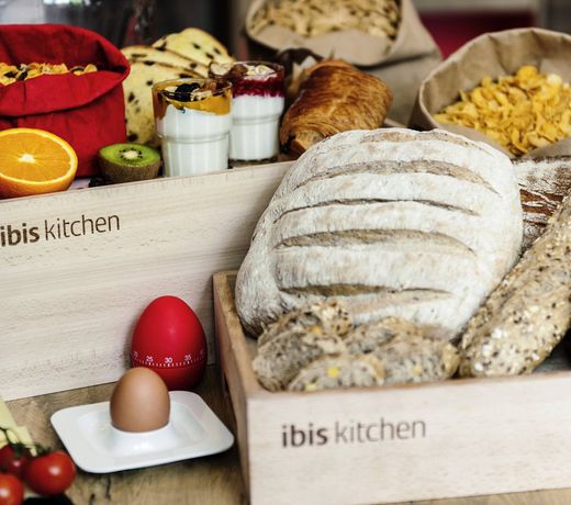 ibis Gonesse