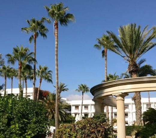 Paradise Garden