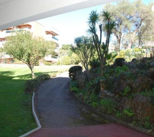 Studio - Juan les pins - proximite plages