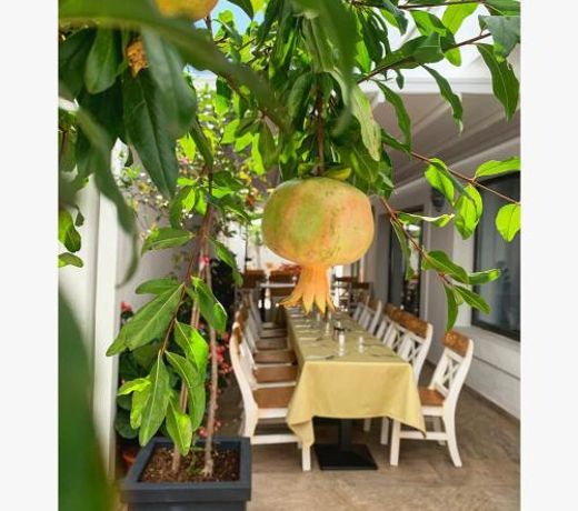 Casa Comana Boutique Hotel