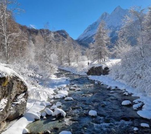 Chalet 12 Cerfs