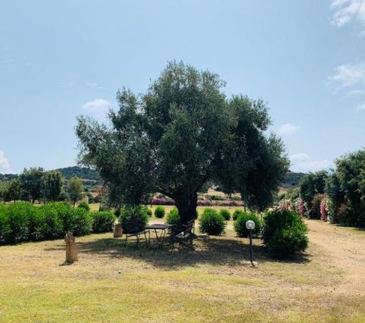 Hotel Janas