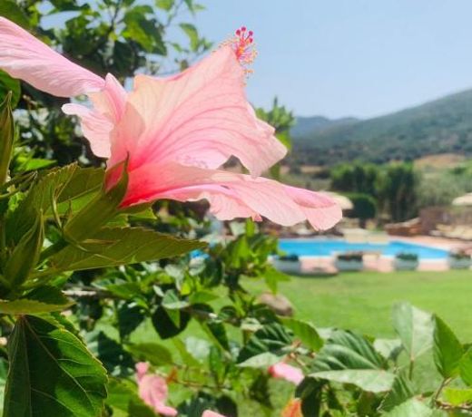 Hotel Janas