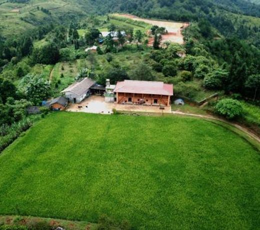 Toong homestay