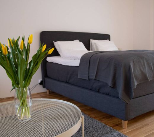 Cozy Apartment Zelny Trh 10