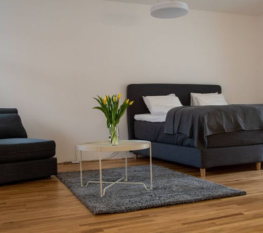 Cozy Apartment Zelny Trh 10