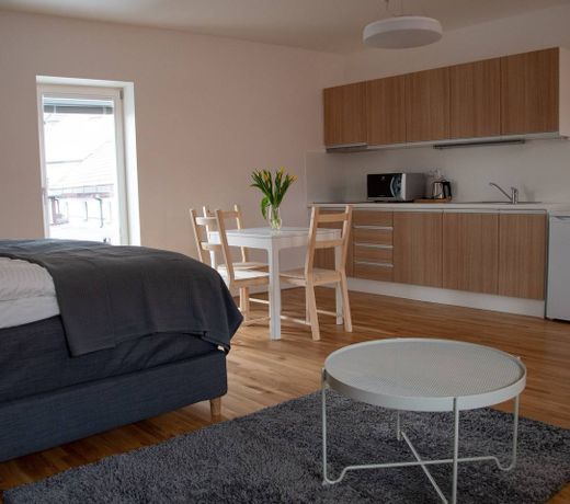 Cozy Apartment Zelny Trh 10