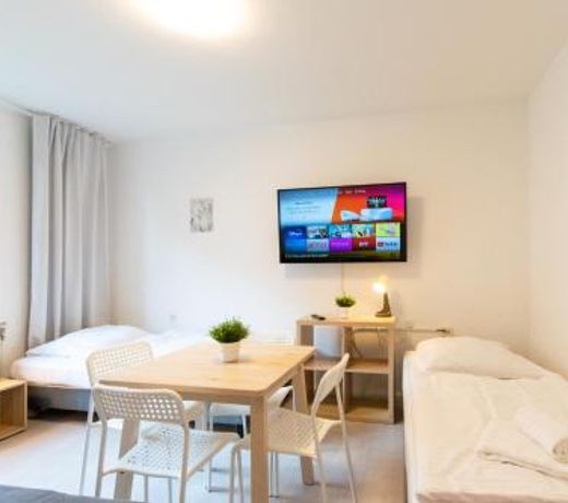Comfortable Large Center Apartment