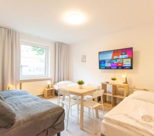 Comfortable Large Center Apartment