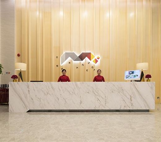 Borrman Hotel Heyuan Baixin Wutong Jiayuan