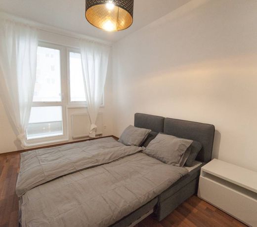 After Eight Apt. in Ruzinov district