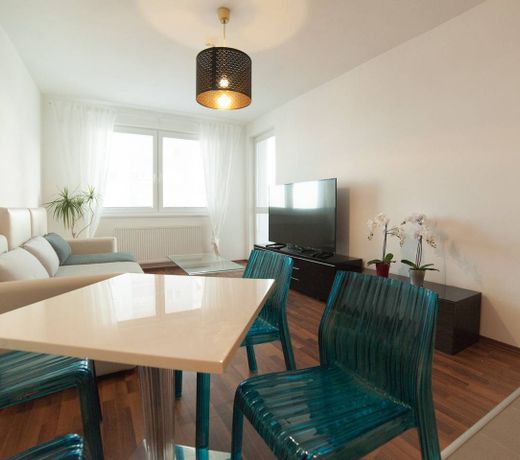 After Eight Apt. in Ruzinov district