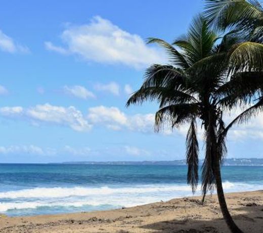 The Beach Pad