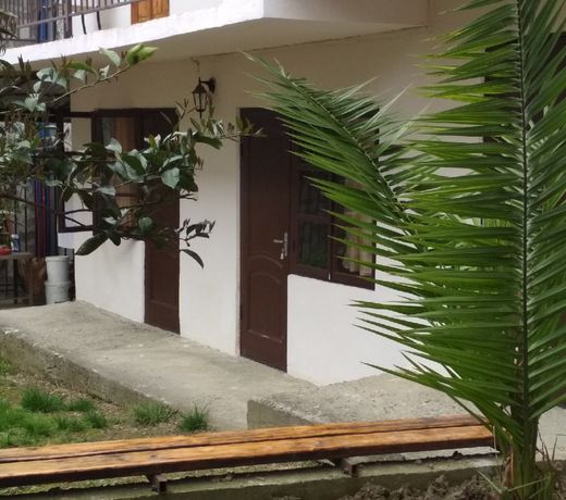 Bananovy Ray Guest House