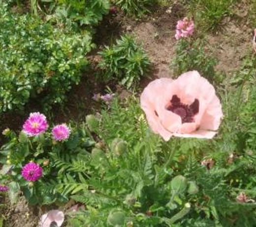 le bonheur Ã  portee de mains