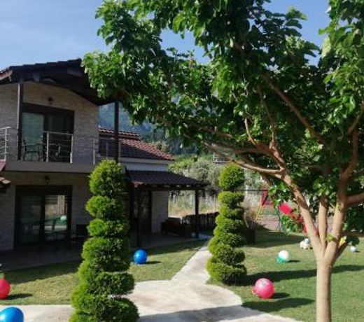 Aelia Studios