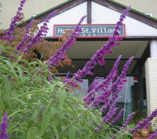 Hotel St. Village