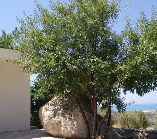 Villa KiriÅhome