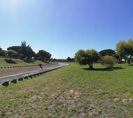 Coons Cove