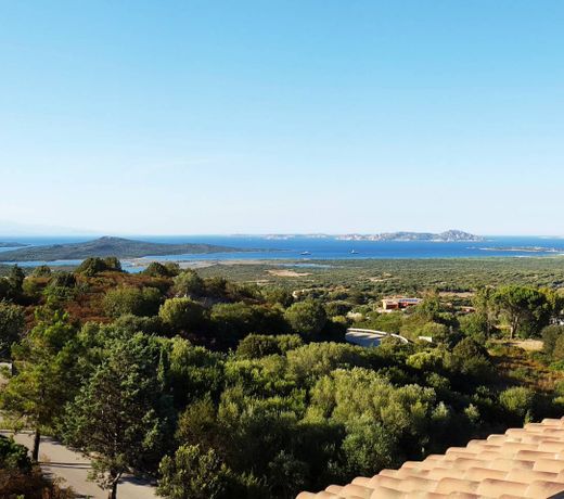 Amazing View on Porto Pollo