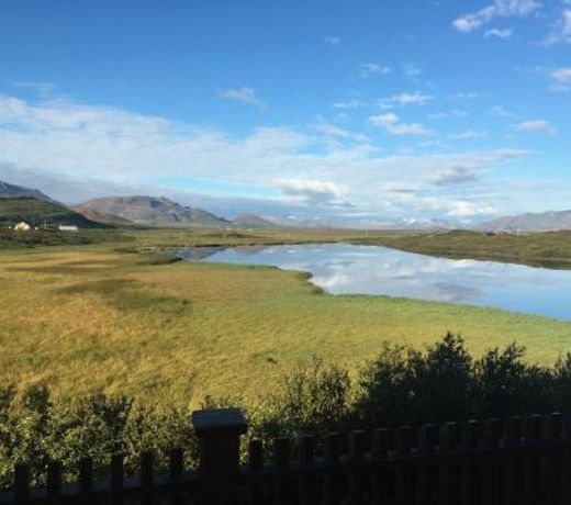 The Nest in the West - Cozy cottage with a view!