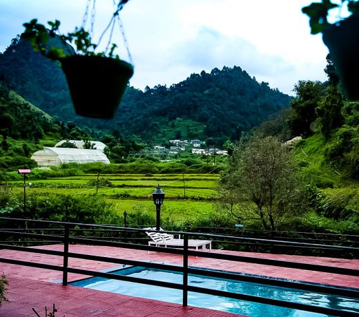 The Jungle Pool By Beyond Stay