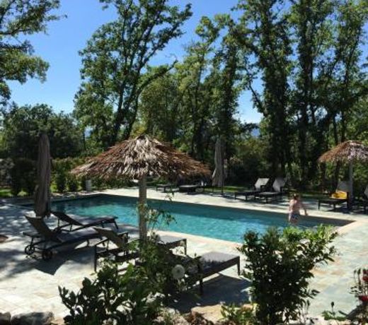 Saigon - Vacations in the South of France