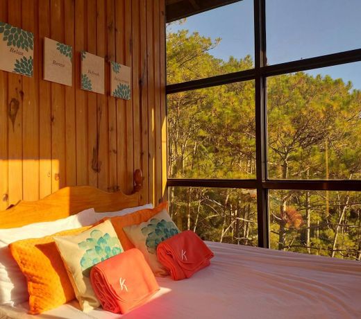 SAGADA PrivateHome Overlooking PineTrees Mountains
