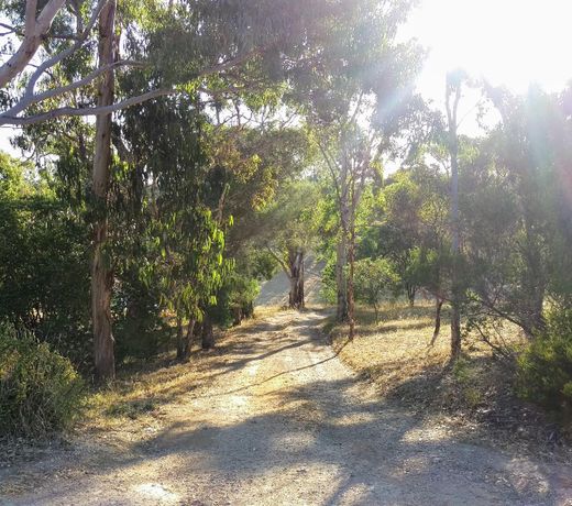 Braewood Farm Cosy 2 Bedroom House on Acreage