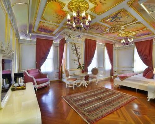 Seven Hills Palace & Spa - Стамбул - фото 5