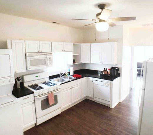 Freshly Renovated Lincoln Park Home Away from Home