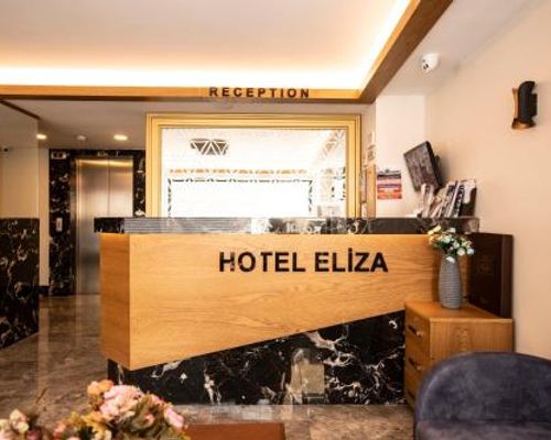 Eliza Hotel - Стамбул - фото 19