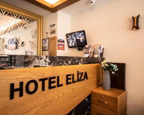 Eliza Hotel - Стамбул - фото 7