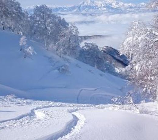 Nozawa Dream Central