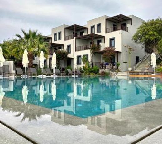 Dorman Suites