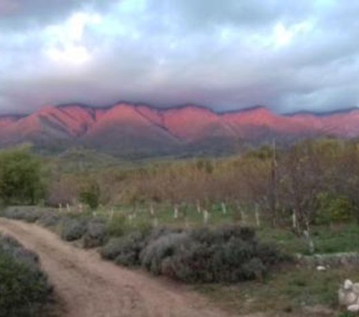 Finca La Julia