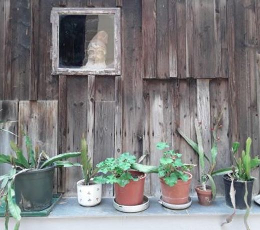 Haus zum Prater