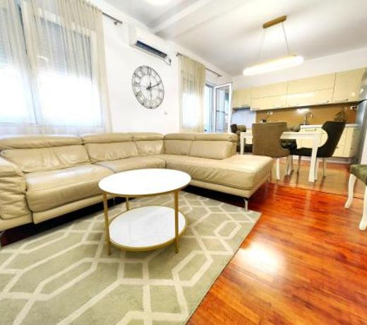 Luxury apartment Podgorica