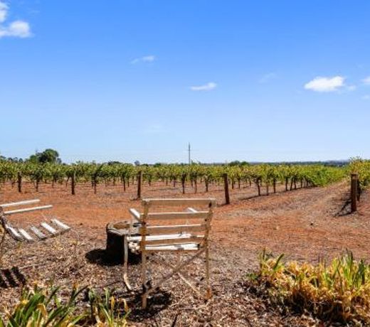 'In The Vines' Guest Cottage, Barossa Valley