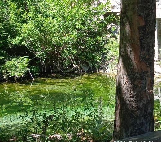 Via Dinarica GuestHouse