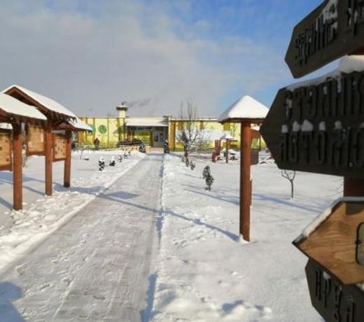 Econom-hostel Pribuzhskoe Polesie